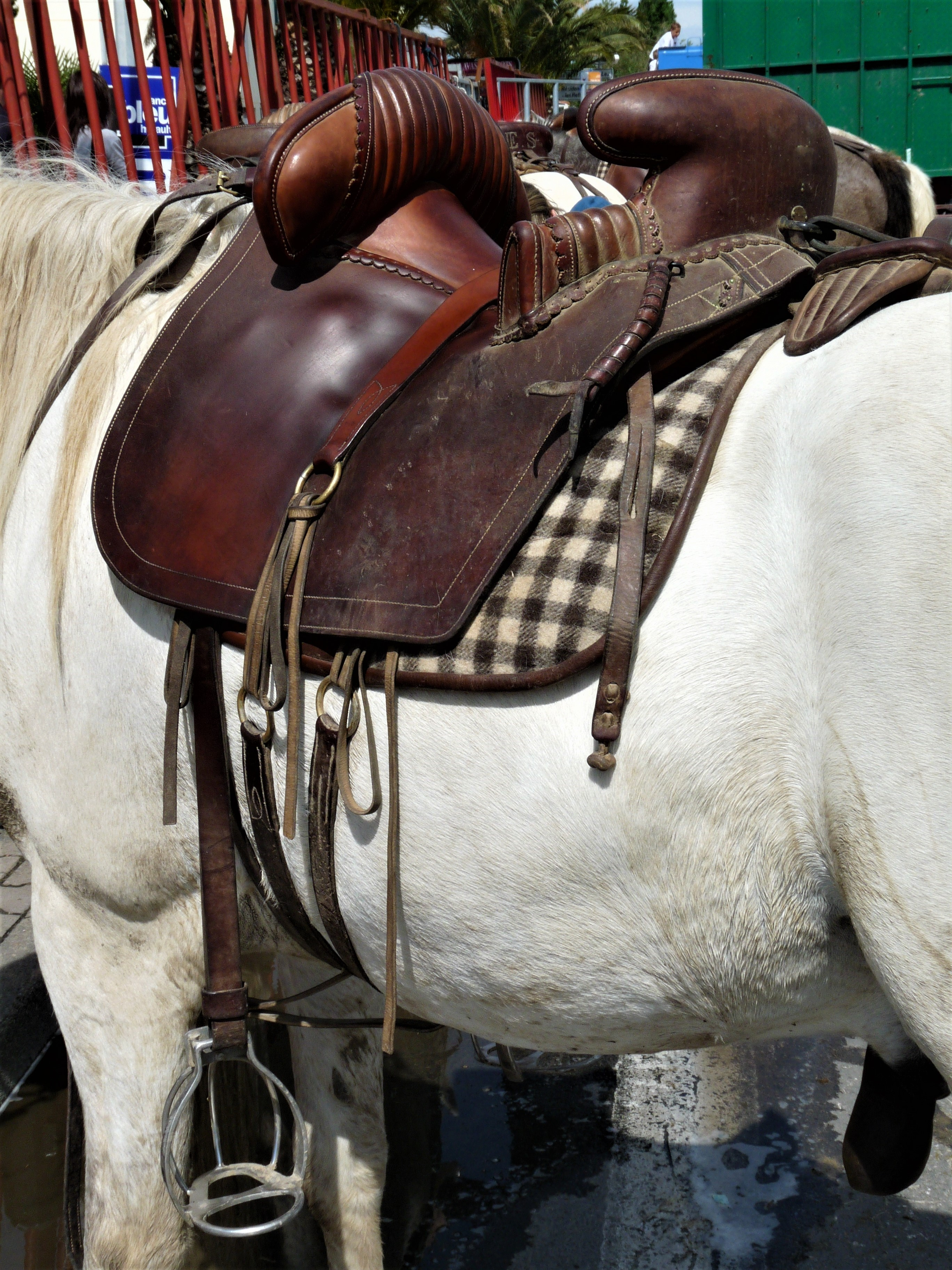 Camargue saddle