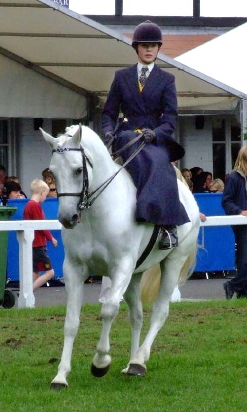 Historic side saddle illustration