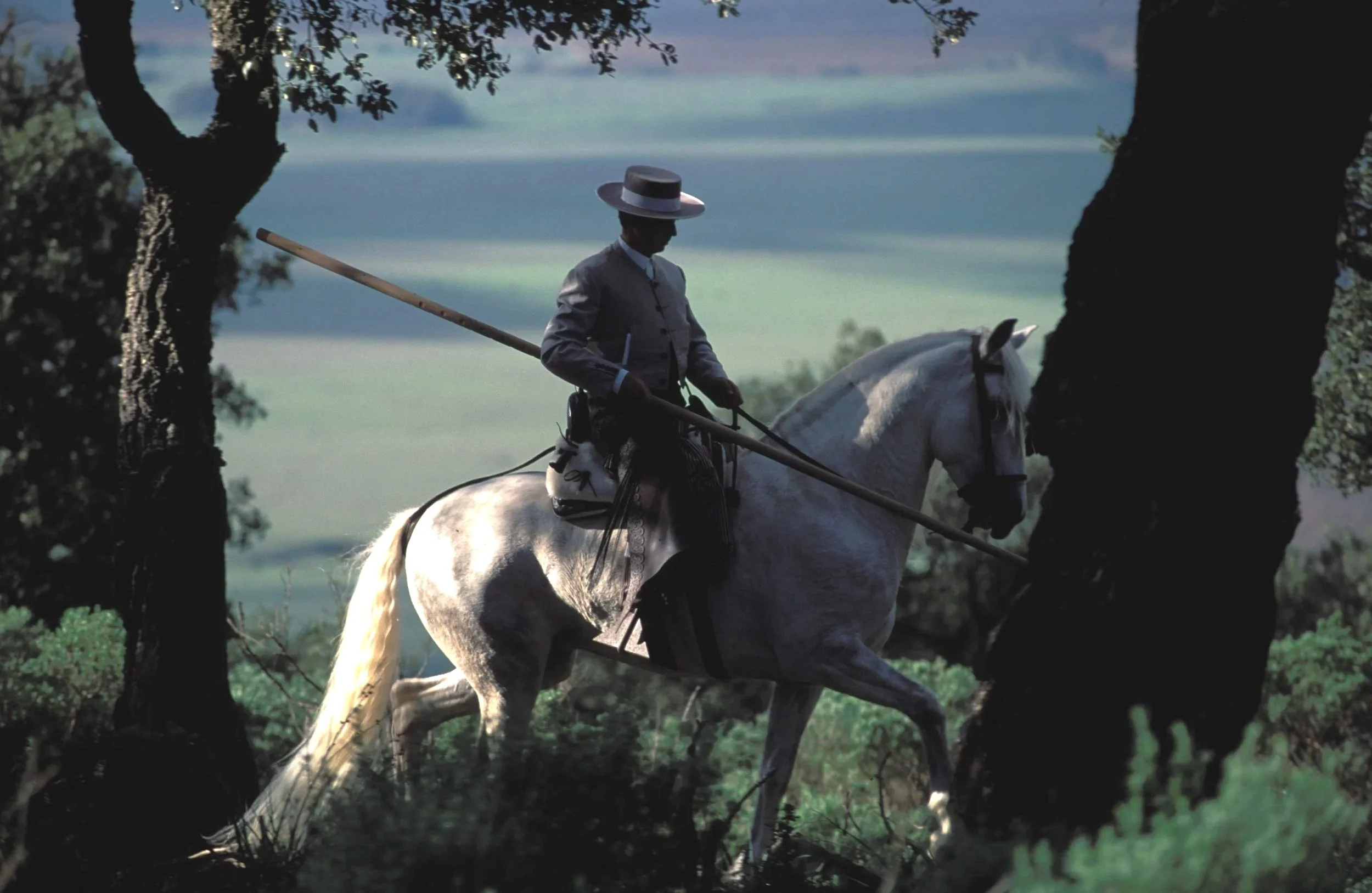 Spanish vaquero riding across open country