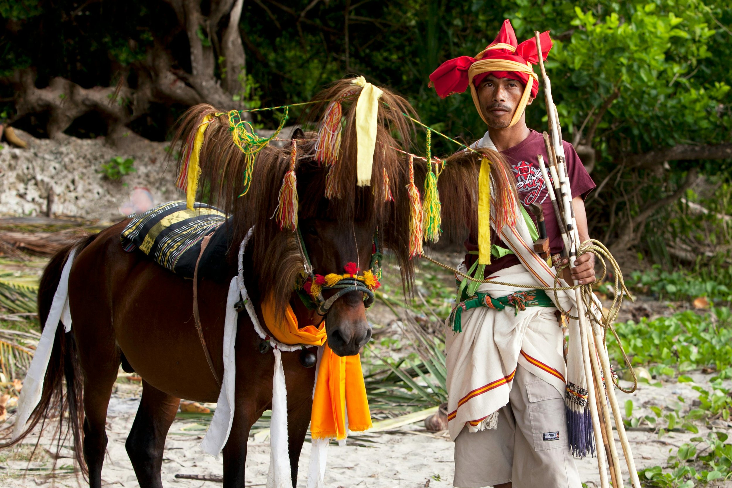 Traditional attire on a Sumba pony, Sumba Indonesia
